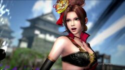 sengoku musou fan art
