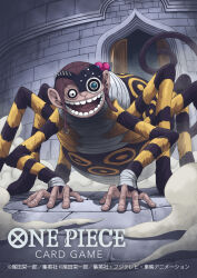 one piece fan art