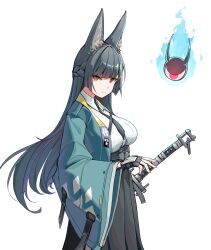 hoshimi miyabi from zenless zone zero