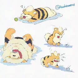 arcanine from pokemon