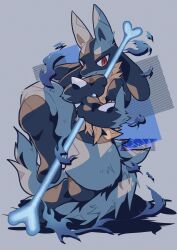 lucario from pokemon