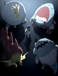 arctovish from pokemon by kiroku
