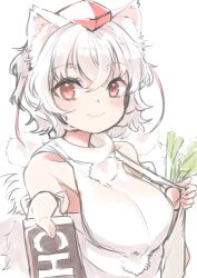 inubashiri momiji from touhou