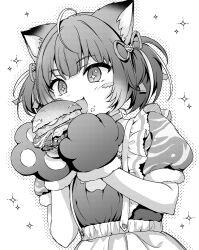 akami karubi from indie virtual youtuber