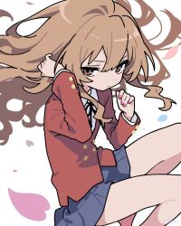 aisaka taiga from toradora!
