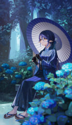 layla (genshin impact) from genshin impact