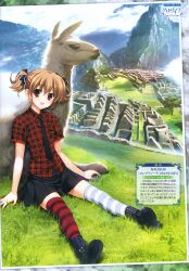 irisu makina from grisaia (series) by watanabe akio