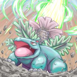 venusaur from pokemon