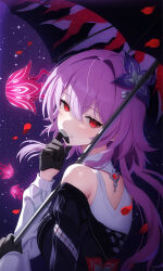 evernight (honkai: star rail) from honkai: star rail