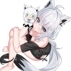 shirakami fubuki from hololive