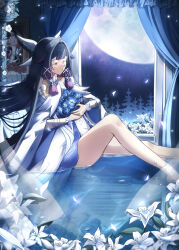 columbina (genshin impact) from genshin impact