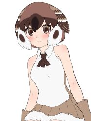 kemono friends fan art