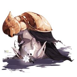knight (hollow knight) from hollow knight