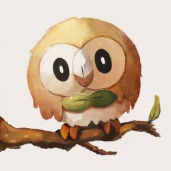 rowlet from pokemon