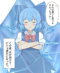 cirno from touhou