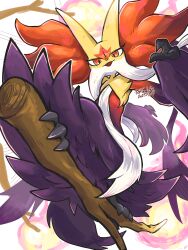 delphox from pokemon