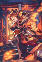 puzzle & dragons fan art