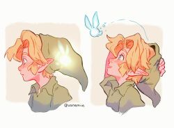 link from the legend of zelda