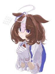 meisho doto (umamusume) from umamusume