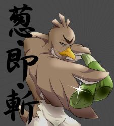 farfetch'd from pokemon by kasen935