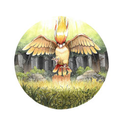 pidgeot from pokemon