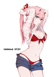zero two (darling in the franxx) from darling in the franxx