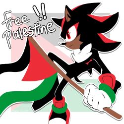 shadow the hedgehog from sonic (series)