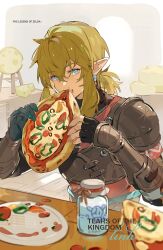 link from the legend of zelda by leopardtiger