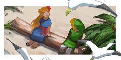 link from the legend of zelda