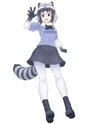common raccoon (kemono friends) from kemono friends by sokushinbutsu