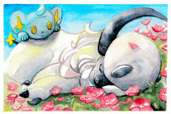 absol from pokemon