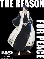 kuchiki byakuya from bleach