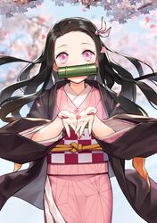 kamado nezuko from kimetsu no yaiba