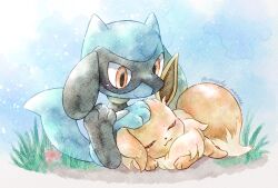 eevee from pokemon