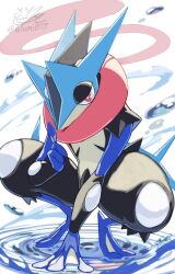 greninja from pokemon by tatsumi (panneko)