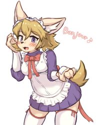 solatorobo fan art