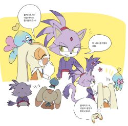 blaze the cat from sonic (series)