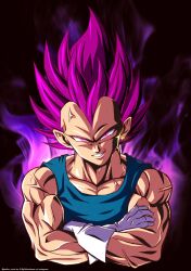 vegeta from dragon ball