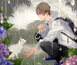 tachibana makoto from free!