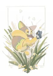 nymble from pokemon