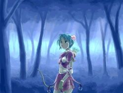 archer (ragnarok online) from ragnarok online