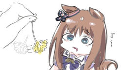 grass wonder (umamusume) from umamusume