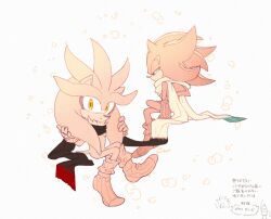 shadow the hedgehog from sonic (series)
