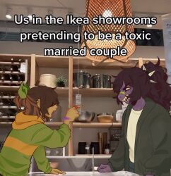 kris (deltarune) from deltarune