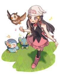 hikari (pokemon) from pokemon