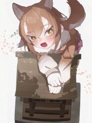 japanese wolf (kemono friends) from kemono friends