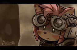 amy rose from sonic (series)