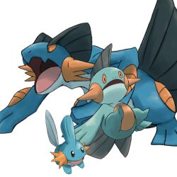 marshtomp from pokemon
