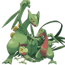 grovyle from pokemon