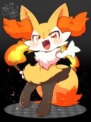 braixen from pokemon